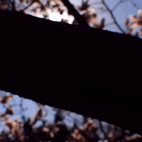 Loop Love GIF by John Fogarty