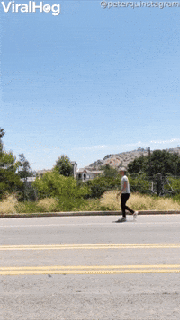 How Much Fun Can You Have With Walking