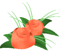Sushi Salt Sticker by Zrce Beach Official