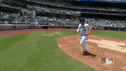 celebrate ny mets GIF by New York Mets