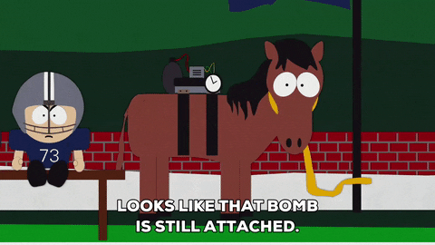 look horse GIF by South Park 
