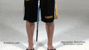 Alex Ovechkin GIF by Easterns Automotive Group