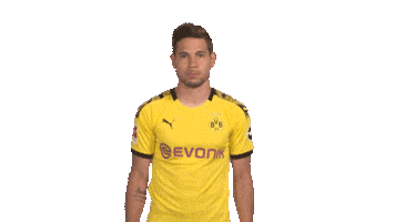 Happy Borussia Dortmund Sticker by Bundesliga