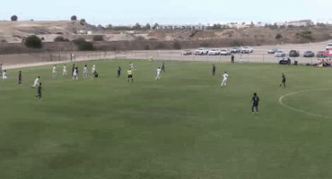 GIF by Seattle Sounders