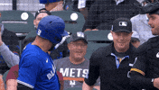 Come On Smile GIF by Toronto Blue Jays