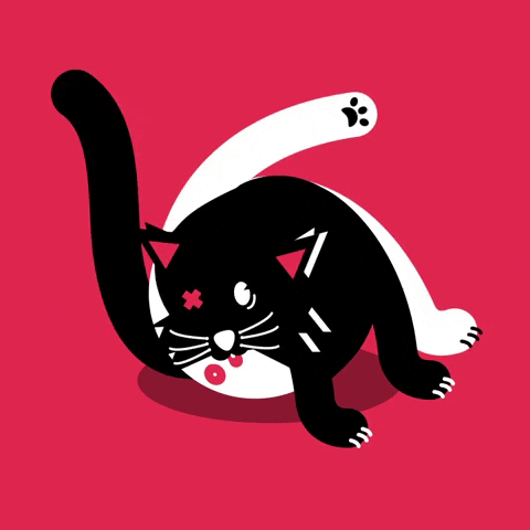 VISUALSINTERNATIONALS giphyupload yums cat licking the old butthole GIF