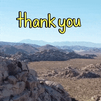Thanks Thank You GIF by Yevbel