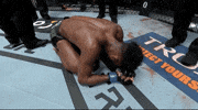 Aljamain Sterling Sport GIF by UFC