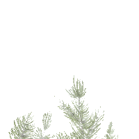 Plant Trees Sticker by Bouclair