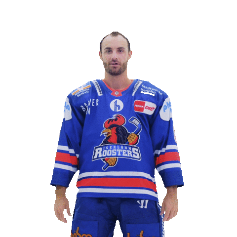 Sport Love Sticker by Iserlohn Roosters