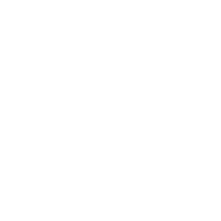 Fly Flying Sticker