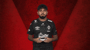 Werder Predator GIF by Bundesliga