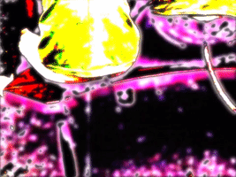 art colors GIF by MFD