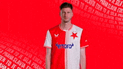 Football Celebration GIF by SK Slavia Praha