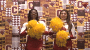 Cheer GIF by CUCougars