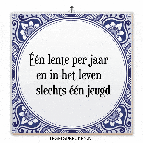 Humor Wijsheid GIF by Tegelspreuken.nl