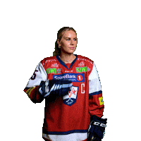 Icehockey Sticker by Lillehammer Ishockeyklubb