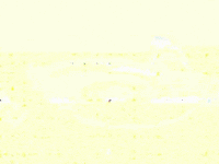 animation art GIF by James White - Fine Artist