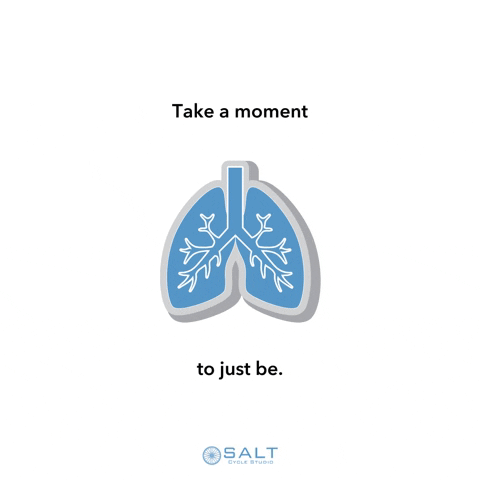 Saltcyclestudios giphygifmaker GIF