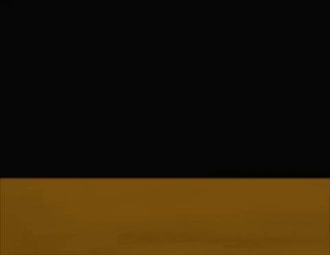 Bear Stalking GIF by Bobo Memes
