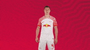 Football Win GIF by RB Leipzig