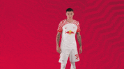 Oh Yeah Yes GIF by RB Leipzig