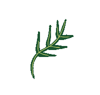 Flower Sticker