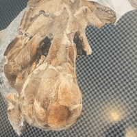 Lab Onf GIF by Alex Boya