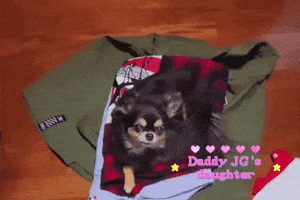 Lee Joon Gi Jg GIF