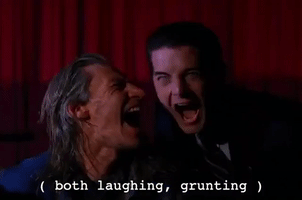 Season 2 Episode 22 GIF by Twin Peaks on Showtime