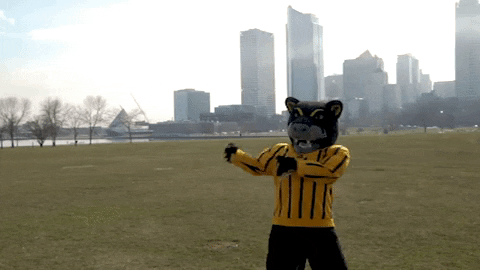 mke pounce GIF by UW-Milwaukee