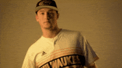 Mke GIF by Milwaukee Panthers
