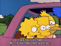 Season 2 GIF by The Simpsons