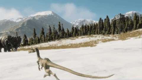 WildlifeWonders giphygifmaker GIF