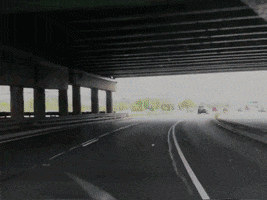 Born Losers GIF by Stray Fossa