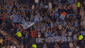 goal celebration GIF by NYCFC