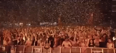 crazy creamfields GIF by Robin Schulz