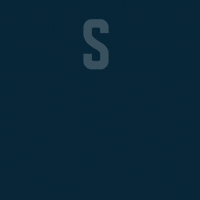 Schloesser_Alt party drink beer cheers GIF