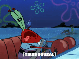 season 6 penny foolish GIF by SpongeBob SquarePants