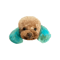 hamandbone cute dog omg blue Sticker