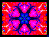 Colors Wow GIF by The Handsome Monkey King