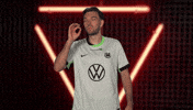 Vfl Wolfsburg Kiss GIF by Bundesliga