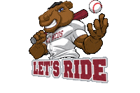 Santa Clara University Sc Sticker by Santa Clara Broncos