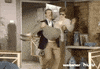 cbs couple GIF by HULU