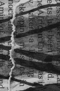 matthias brown newspaper GIF by TraceLoops