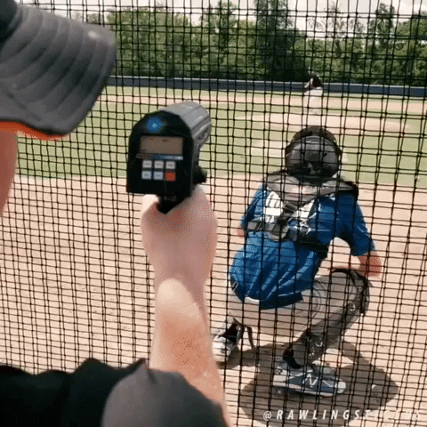 rawlingstigers giphygifmaker baseball speed meat GIF