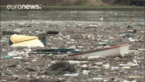 Trash GIF by euronews