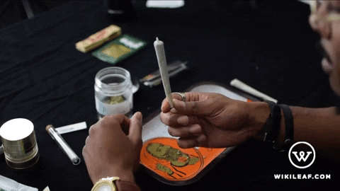 weed marijuana GIF by Wikileaf.com