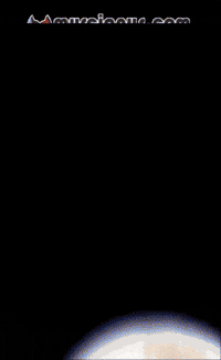 Amigos Flores GIF by Murcianys LLC