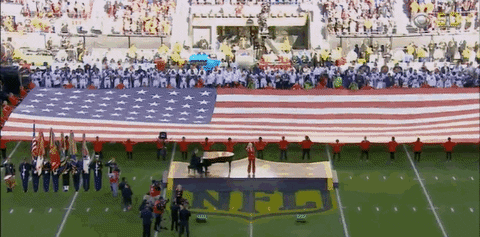 superbowl GIF